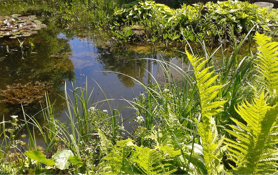 l'eau dans votre jardin